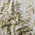 Трикотажное полотно, Сетка с пайетками, шир.130 см, #315, цв.-белый/золото - купить в Астрахани. Цена 693.39 руб.
