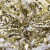 Трикотажное полотно, Сетка с пайетками, шир.130 см, #315, цв.-белый/золото - купить в Астрахани. Цена 693.39 руб.
