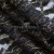 Кружевное полотно XD LACE 1-4, 80 гр/м2, шир.150см, цвет чёрный - купить в Астрахани. Цена 245.94 руб.