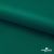 Ткань подкладочная Таффета, 19-5420, 53 г/м2, антистатик, шир. 150 см, вечнозеленый - купить в Астрахани. Цена 57.16 руб.