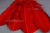Декоративный Пучок из перьев, перо 23см/красный - купить в Астрахани. Цена: 11.16 руб.