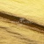 Текстильный материал "Диско"#1805 с покрытием РЕТ, 40гр/м2, 100% полиэстер, цв.5-золото - купить в Астрахани. Цена 412.36 руб.