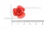 Украшение "Розы малые №1" 20мм - купить в Астрахани. Цена: 32.49 руб.