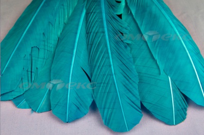 Декоративный Пучок из перьев, перо 24см/голубой - купить в Астрахани. Цена: 12.19 руб.
