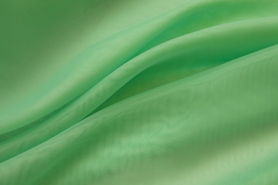 Портьерный капрон 15-6123, 47 гр/м2, шир.300см, цвет св.зелёный - купить в Астрахани. Цена 137.27 руб.