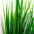 Трава искусственная -2, шт (осока 41см/8 см)				 - купить в Астрахани. Цена: 104.57 руб.