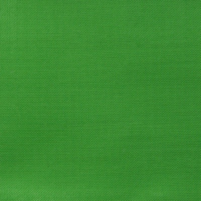 Ткань подкладочная Таффета 17-6153, 48 гр/м2, шир.150см, цвет трава - купить в Астрахани. Цена 54.64 руб.