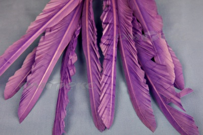 Декоративный Пучок из перьев, перо 25см/фиолетовый - купить в Астрахани. Цена: 12.19 руб.