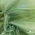 Ткань органза, 100% полиэстр, 28г/м2, шир. 150 см, цв. #27 зеленый - купить в Астрахани. Цена 86.24 руб.